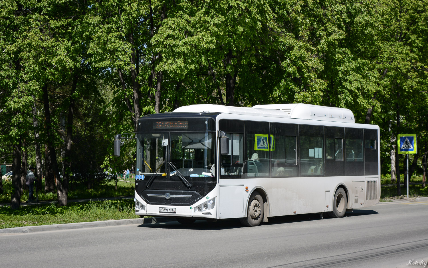 Новосибирская область, Zhong Tong LCK6105HGC Fashion № Р 189 ВА 154