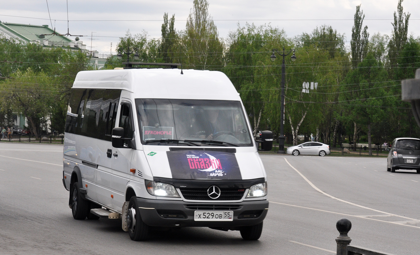 Омская область, Луидор-223201 (MB Sprinter Classic) № Х 529 ОВ 55