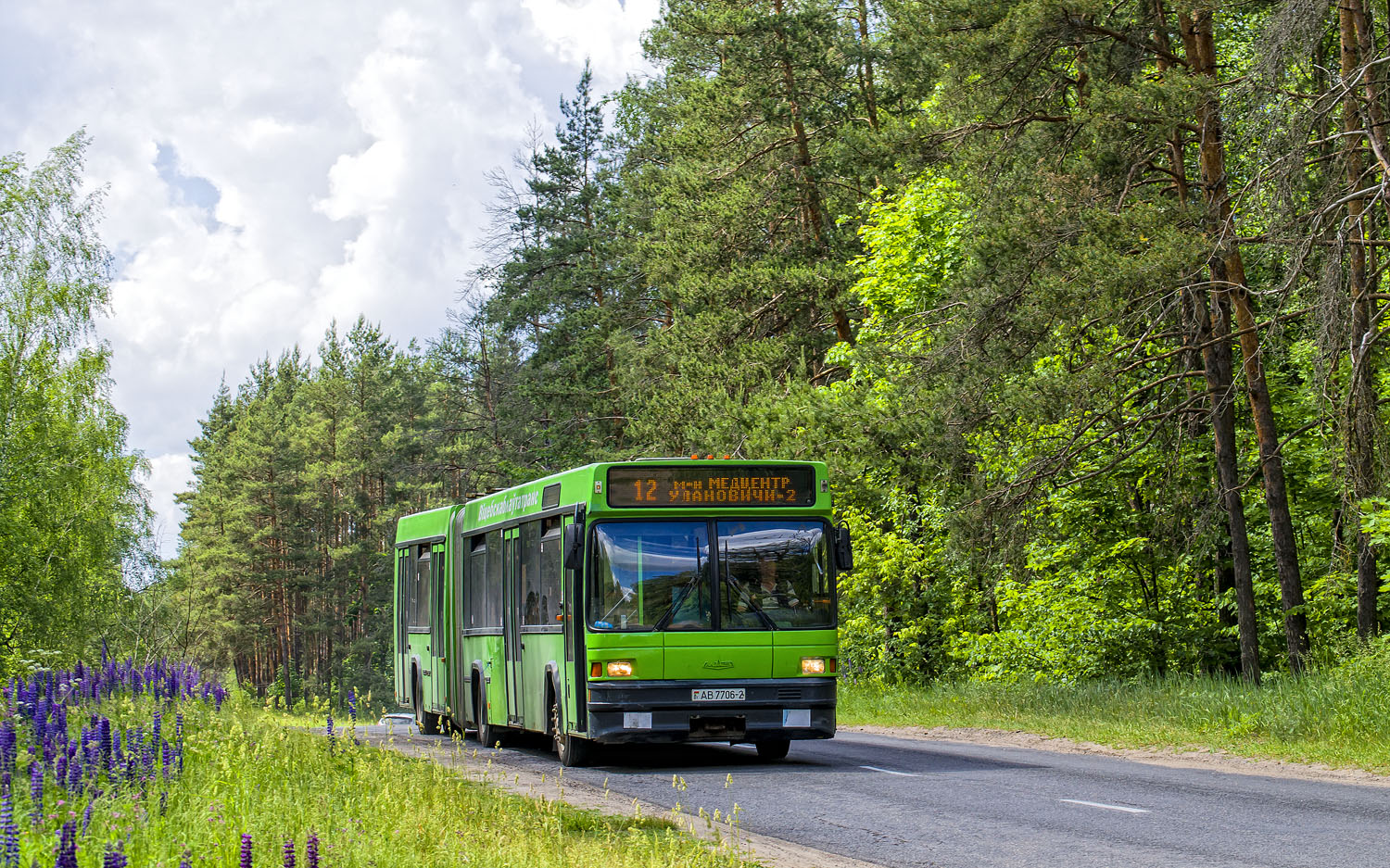 Vitebsk region, MAZ-105.065 № 011118