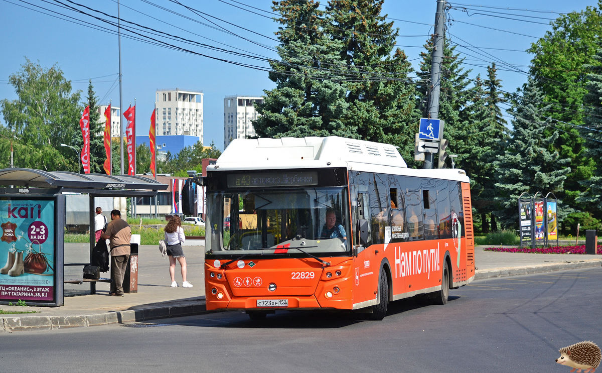 Нижегородская область, ЛиАЗ-5292.67 (CNG) № 22829