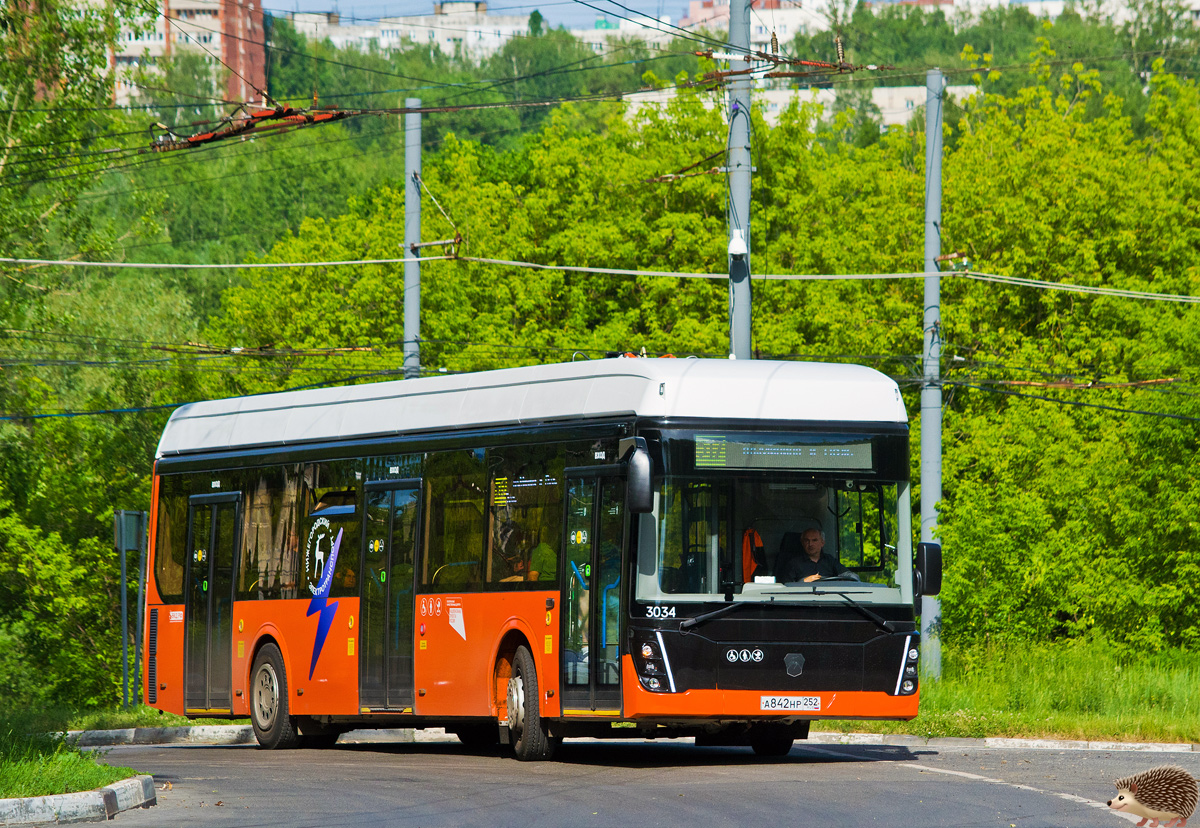 Нижегородская область, ЛиАЗ-6274 № 3034