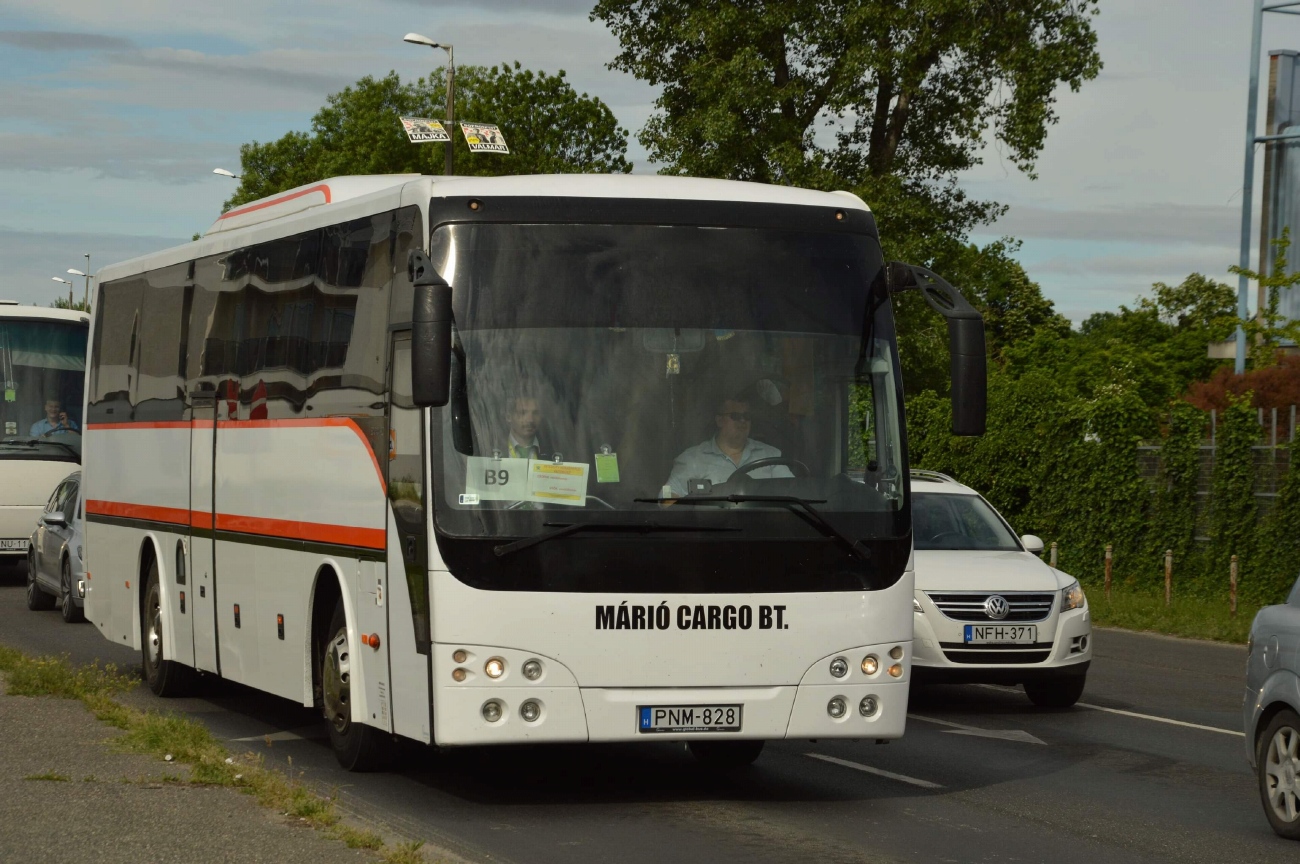 Венгрия, TEMSA Safari RD 12 № PNM-828