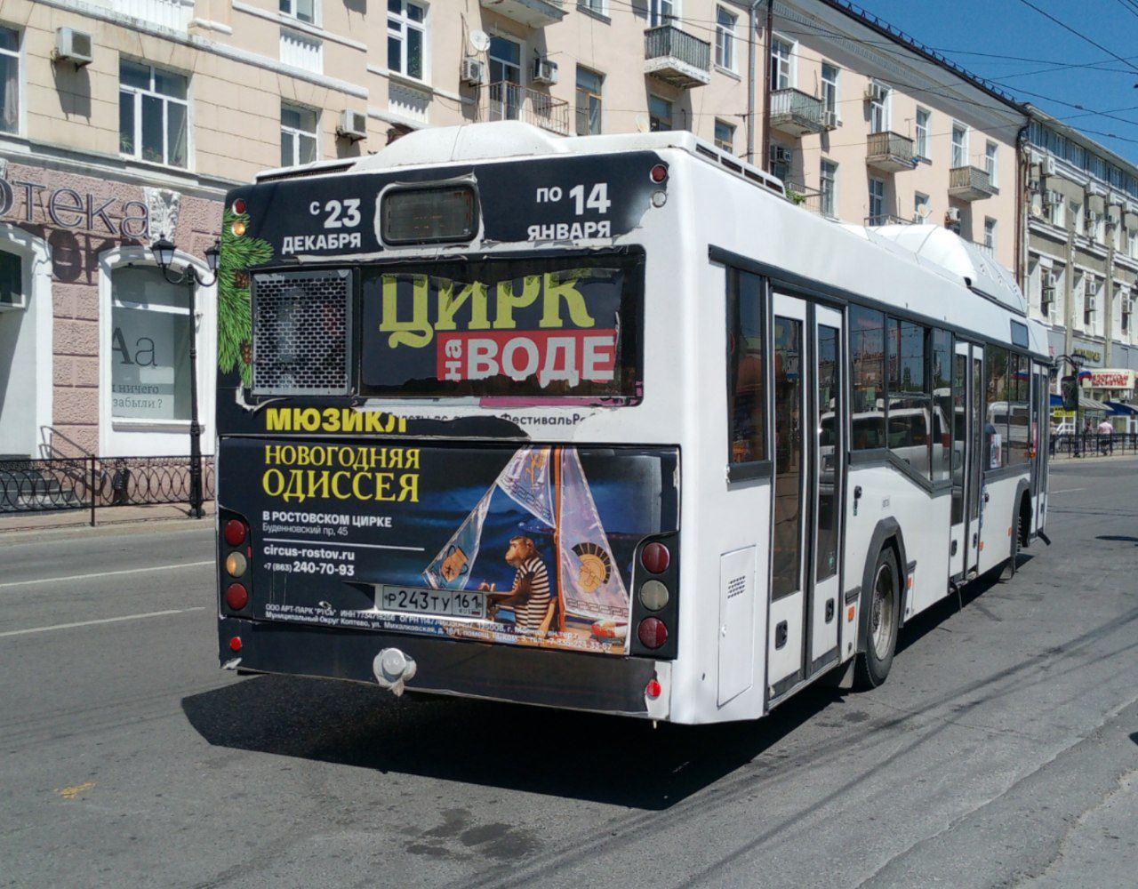 Ростовская область, МАЗ-103.965 № 00724