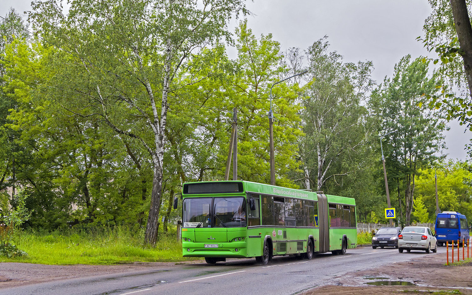 Витебская область, МАЗ-105.465 № 029976