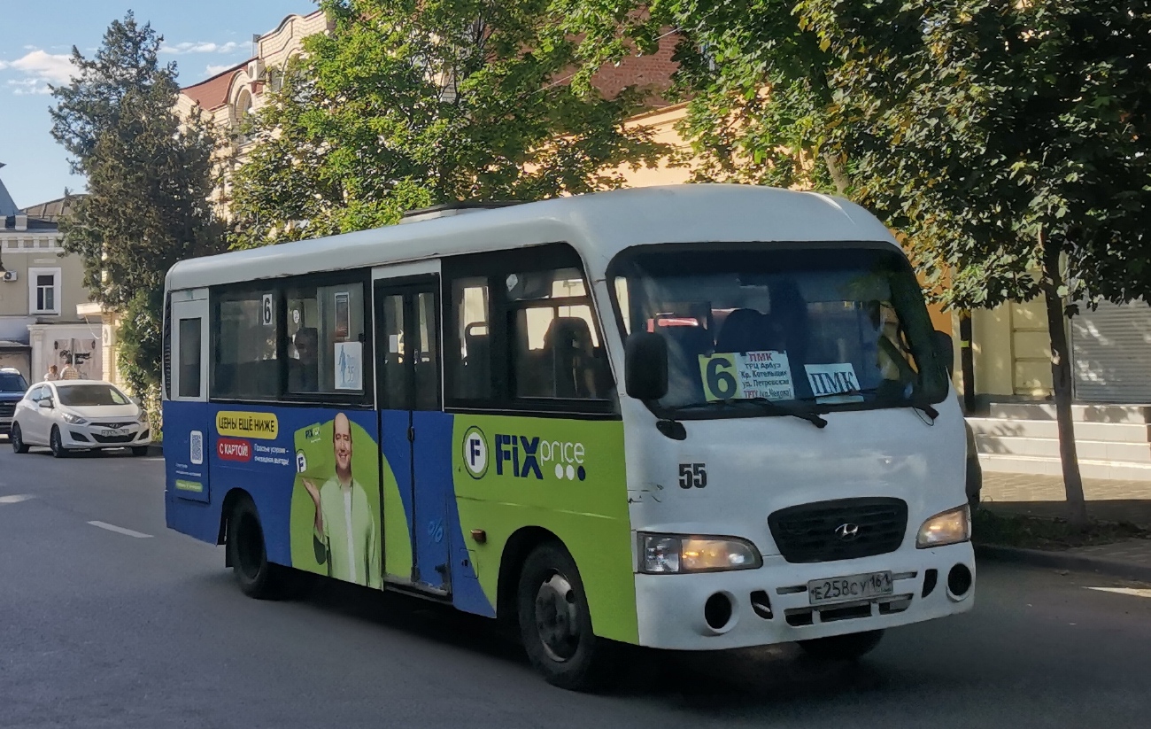 Ростовская область, Hyundai County LWB C09 (ТагАЗ) № 55