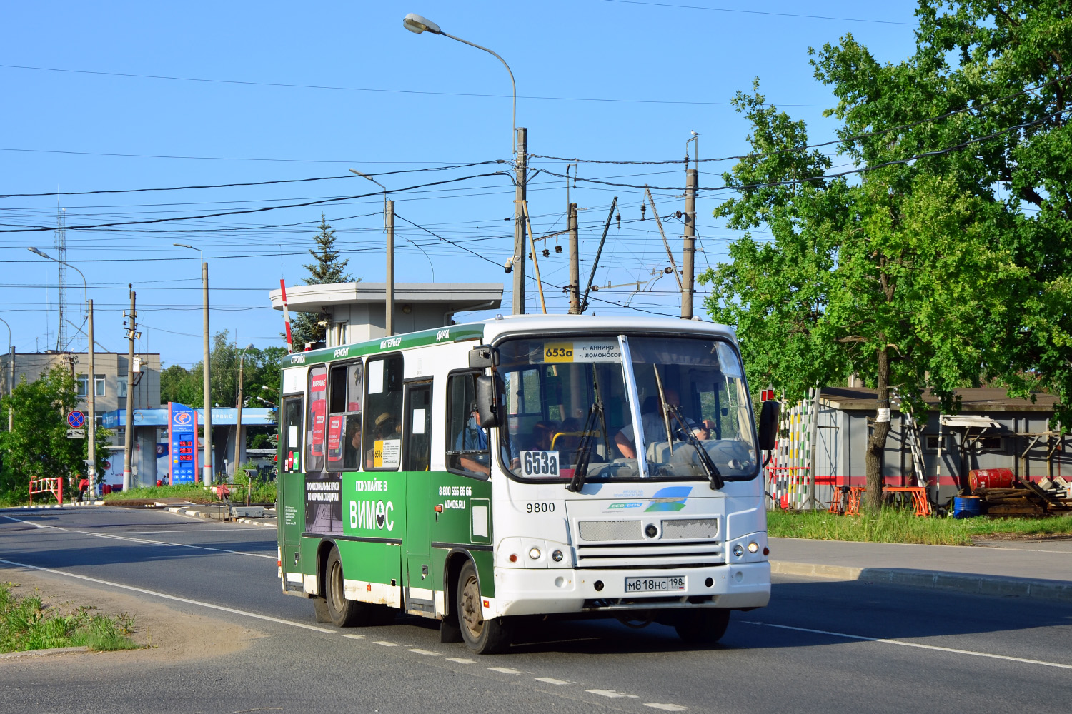 Ленинградская область, ПАЗ-320302-11 № 9800