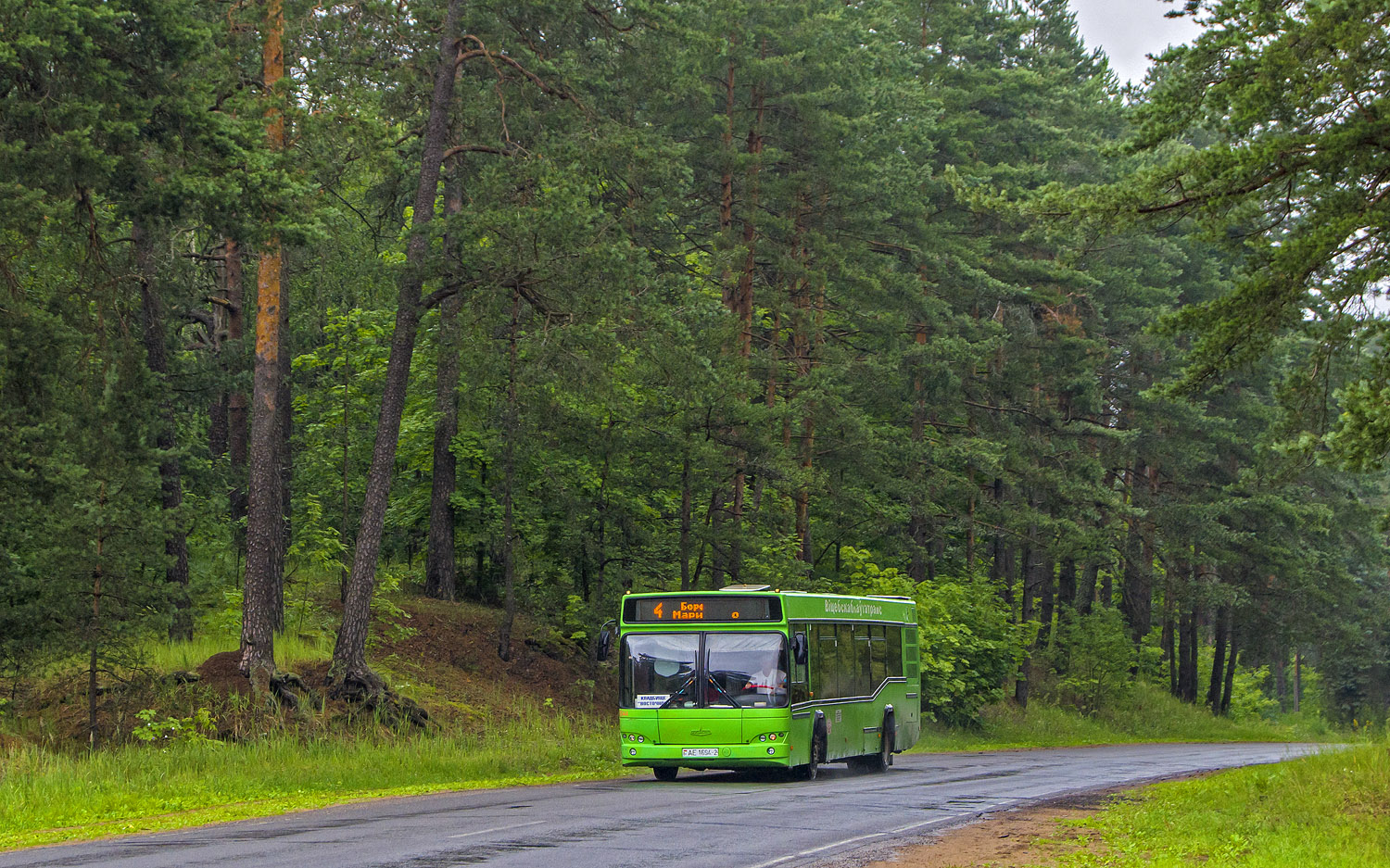 Витебская область, МАЗ-103.465 № 020044