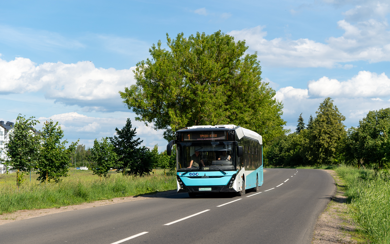 Минская область, МАЗ-303.E22 № АА Е017-5