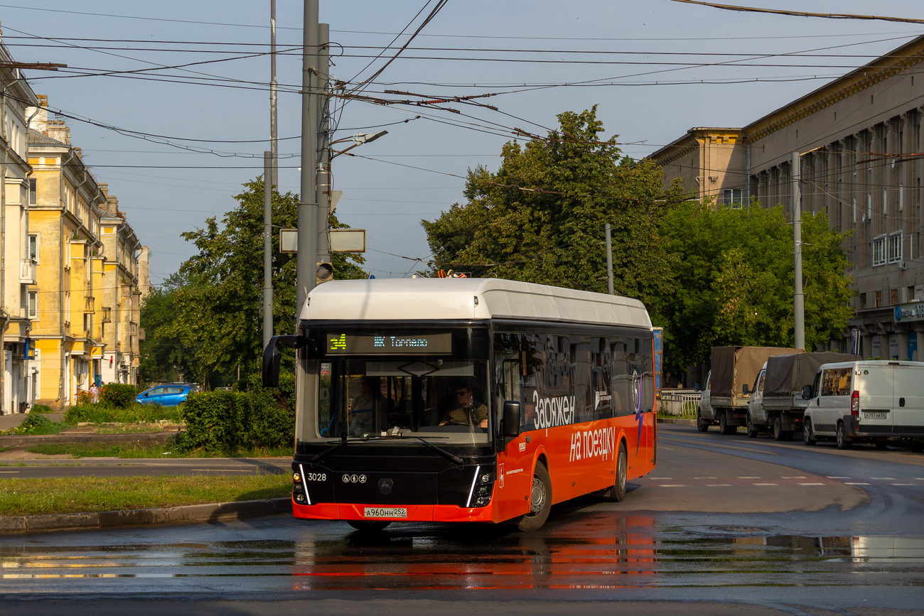 Нижегородская область, ЛиАЗ-6274 № 3028