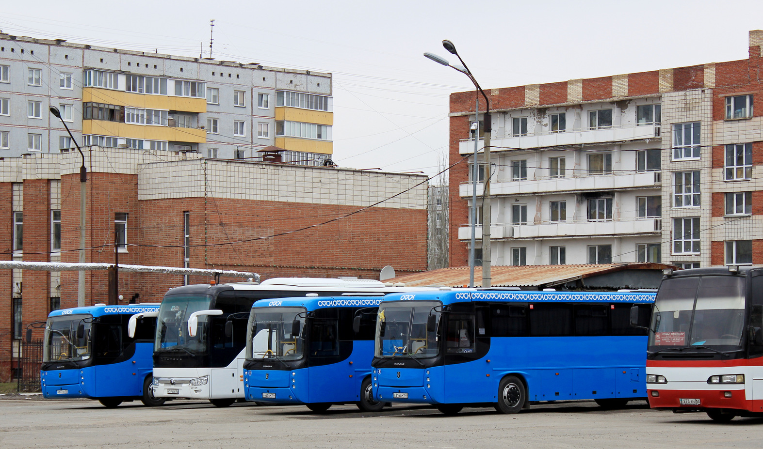 Omszki terület — Bus stations