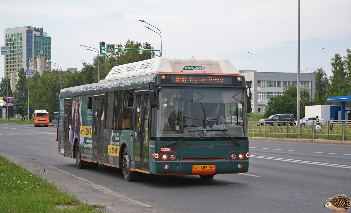 Нижегородская область, ЛиАЗ-5292.67 (CNG) № 15239