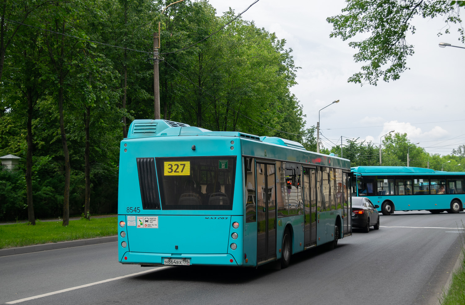 Санкт-Петербург, МАЗ-203.047 № 8545