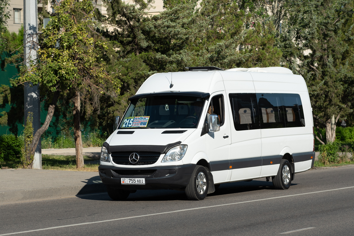 Кыргызстан, Mercedes-Benz Sprinter W906 311CDI № 07 755 ABI