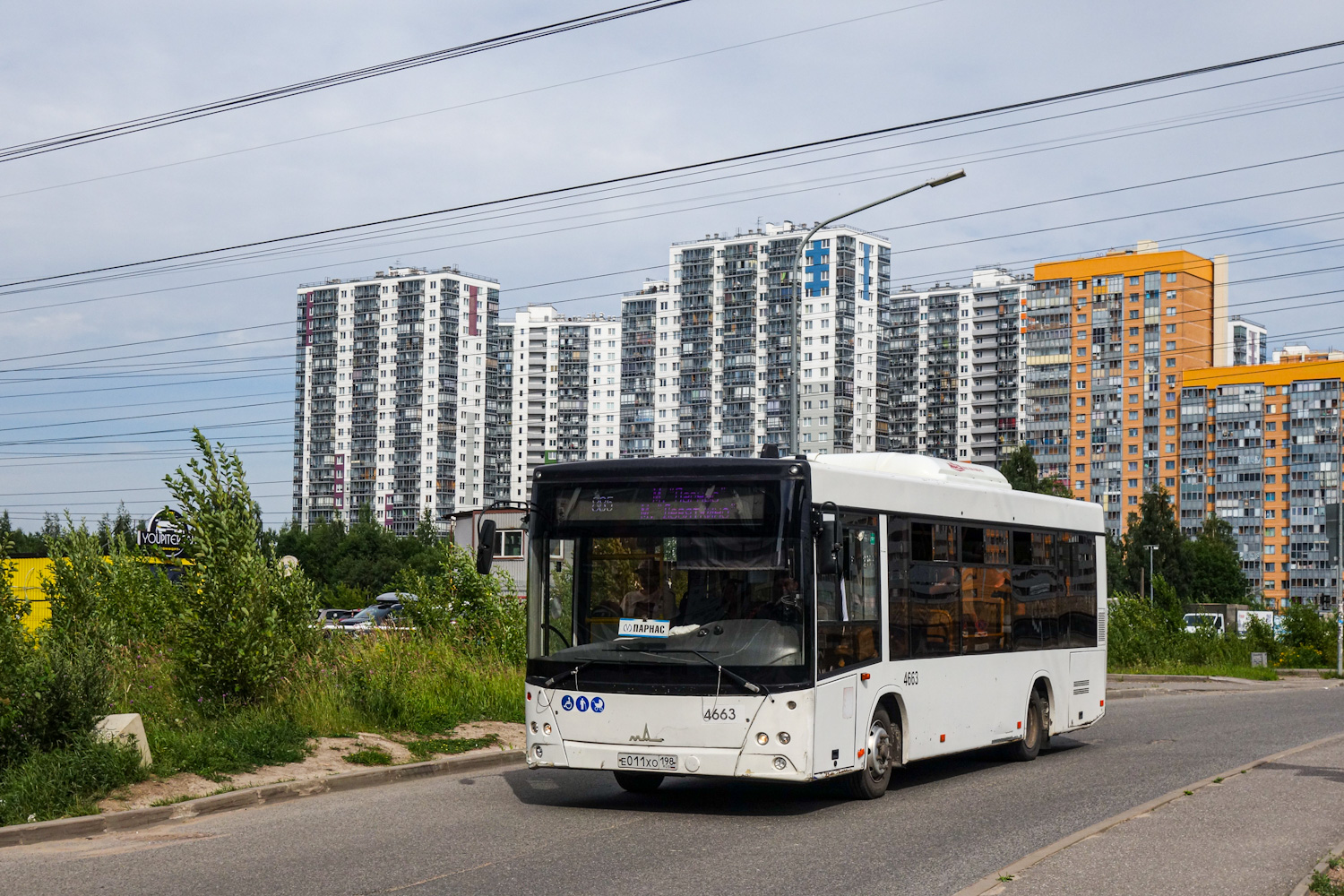 Санкт-Петербург, МАЗ-206.086 № 4663