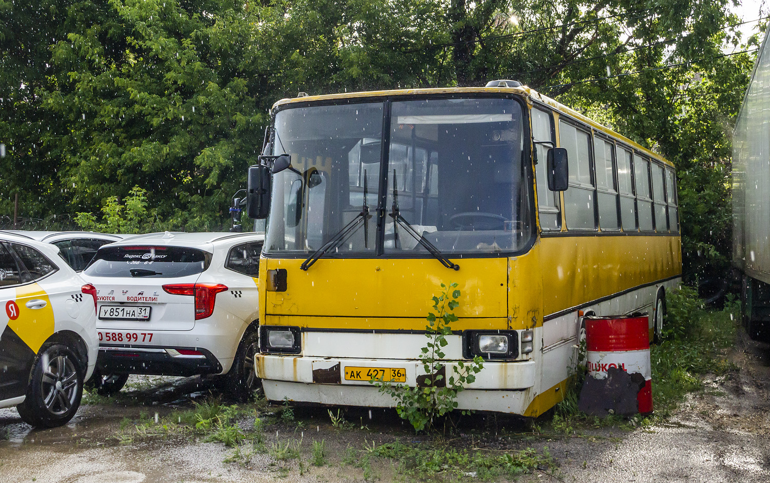 Воронежская область, Ikarus 260.27 № АК 427 36