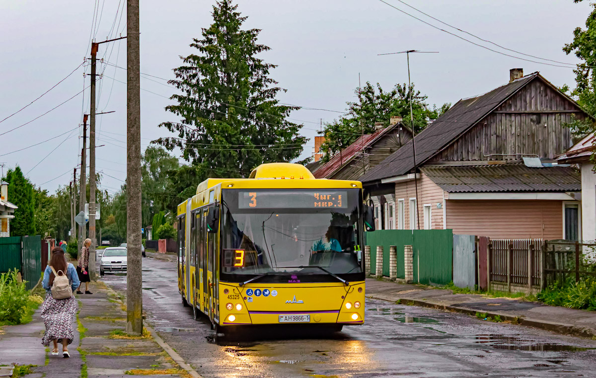 Брестская область, МАЗ-215.069 № 45325