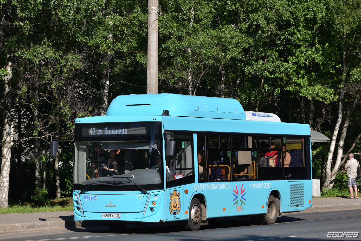 Архангельская область, МАЗ-206.948 № О 209 ТО 29