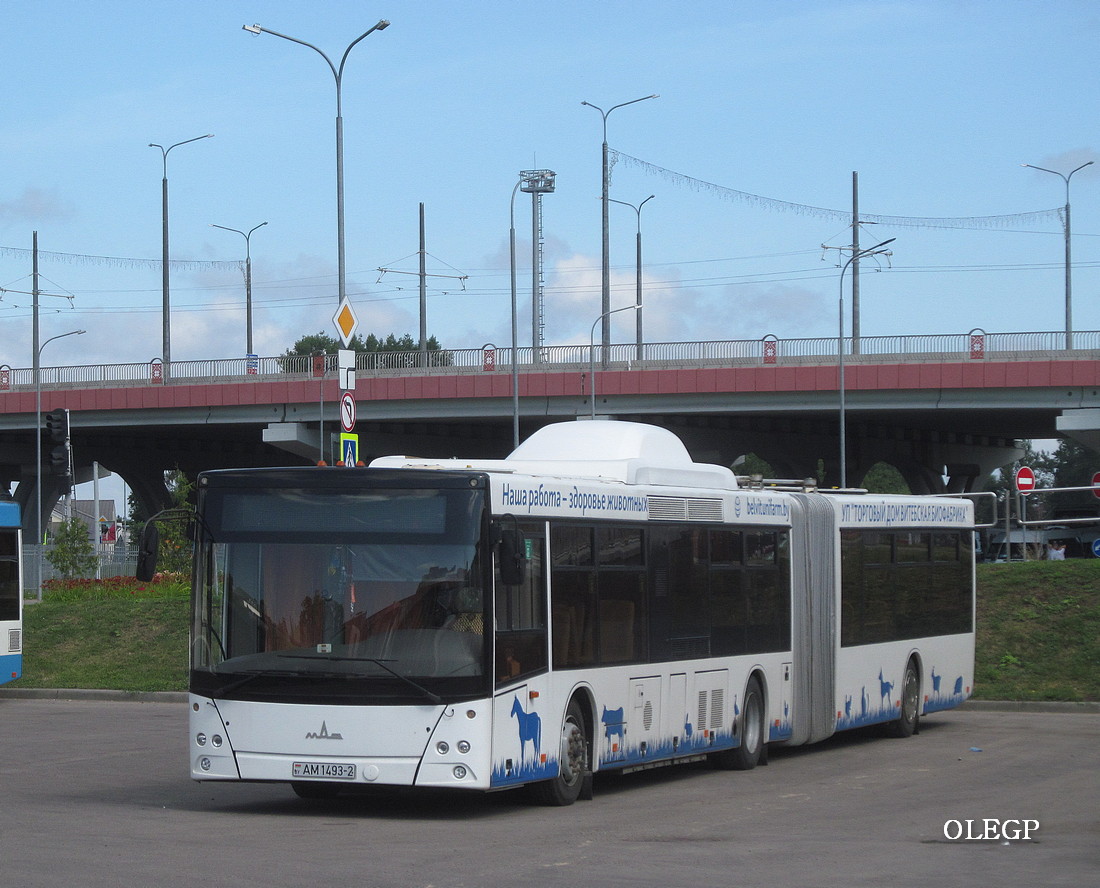 Витебская область, МАЗ-215.069 № АМ 1493-2