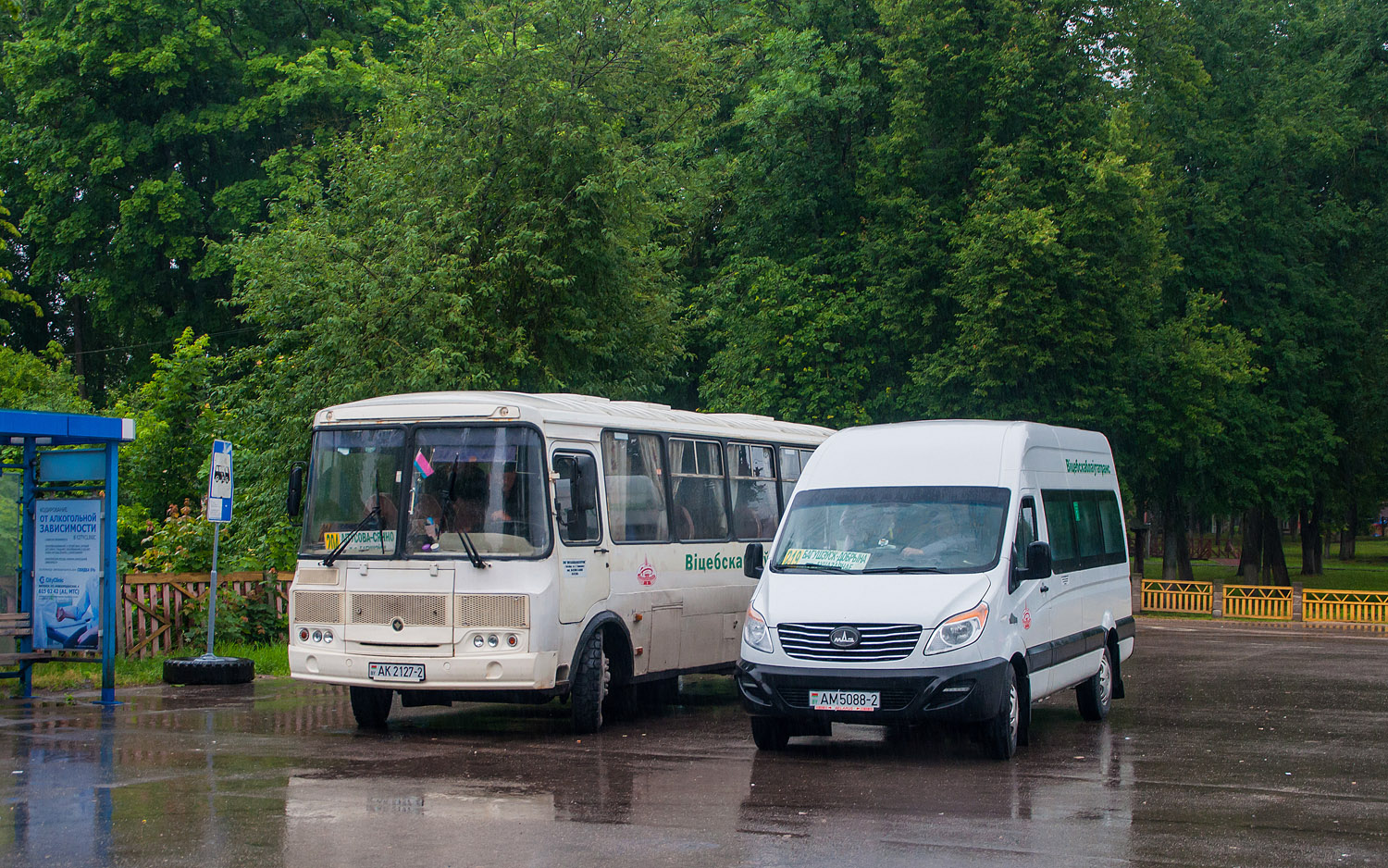 Витебская область, МАЗ-281.040 № 040215