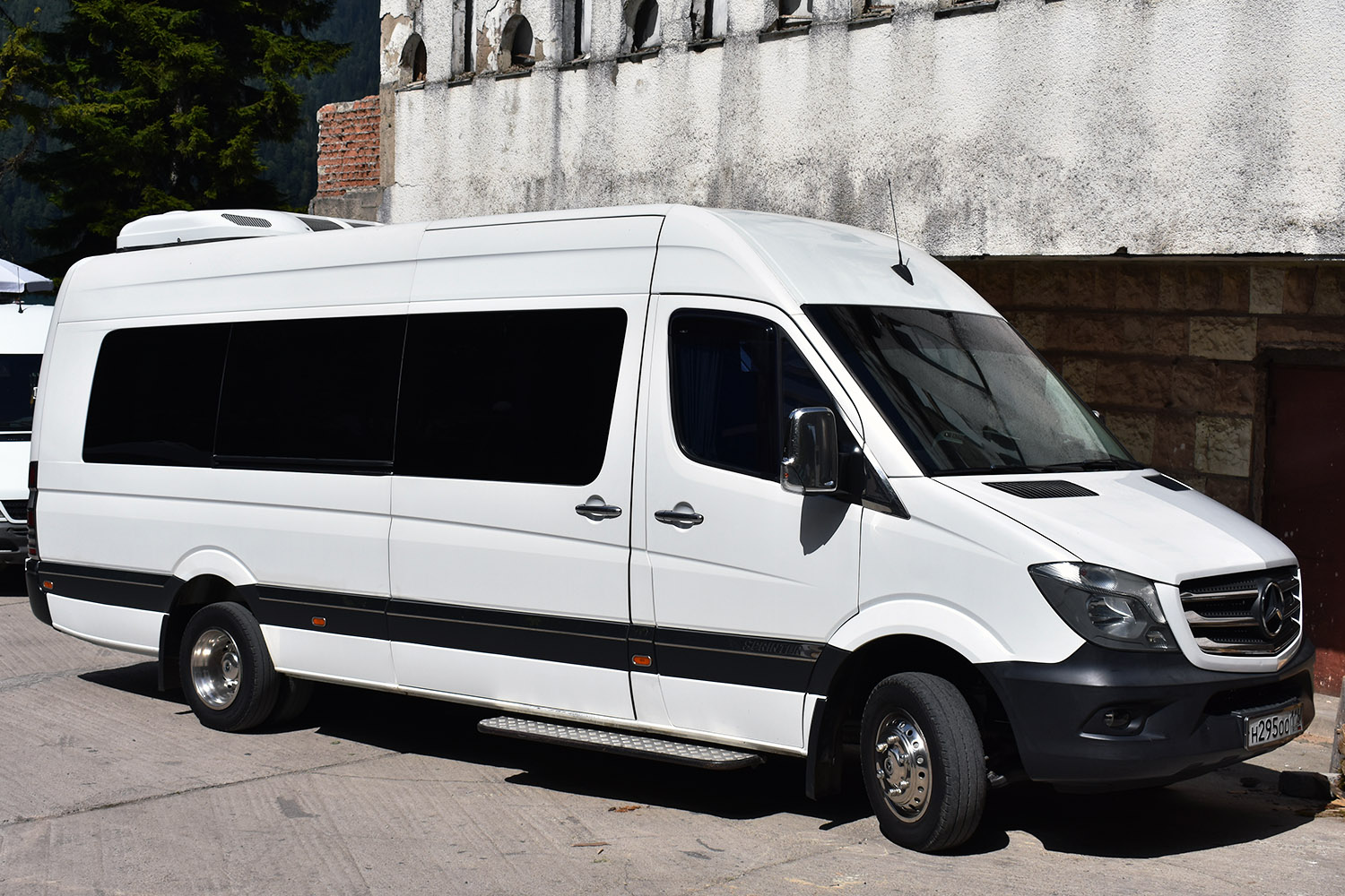 Татарстан, Mercedes-Benz Sprinter W906 № Н 295 ОО 116