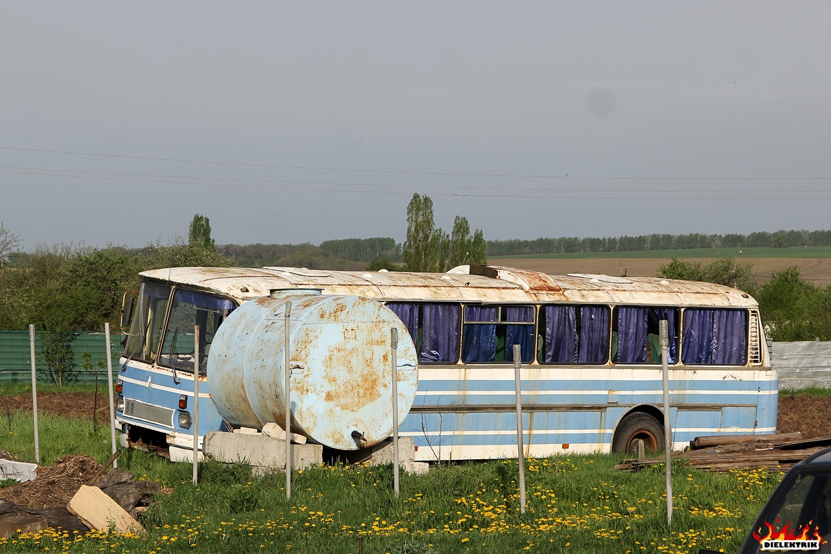 Voronyezsi terület, LAZ-699R sz.: АВ 937 36; Voronyezsi terület — Buses without numbers