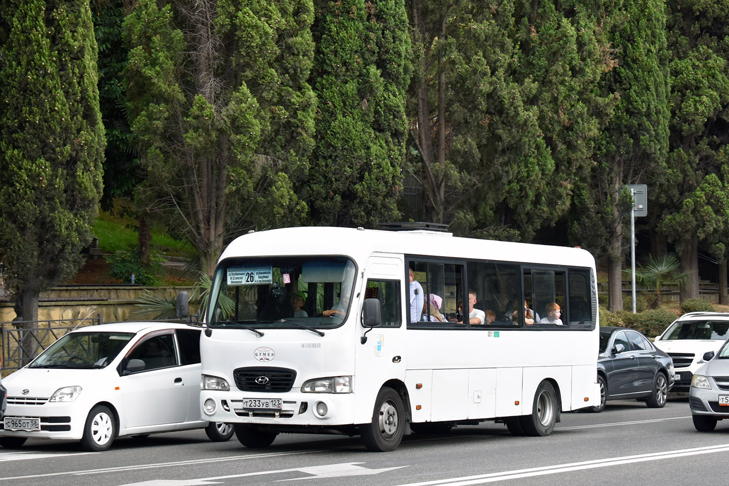 Краснодарский край, Hyundai County LWB (ТагАЗ) № Т 233 УВ 123