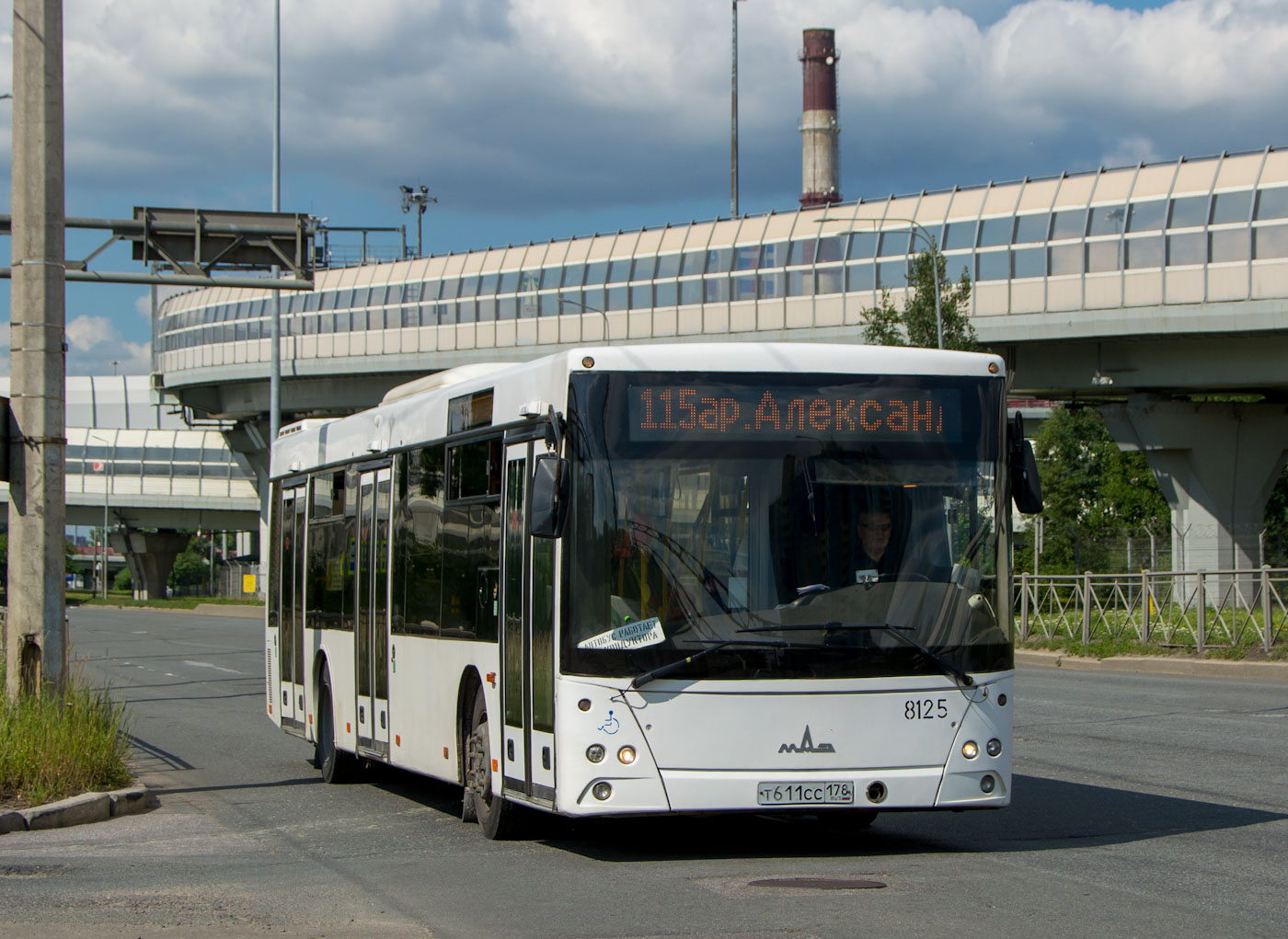 Санкт-Петербург, МАЗ-203.085 № 8125