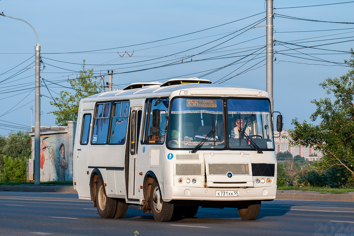 Омская область, ПАЗ-32053 № 289