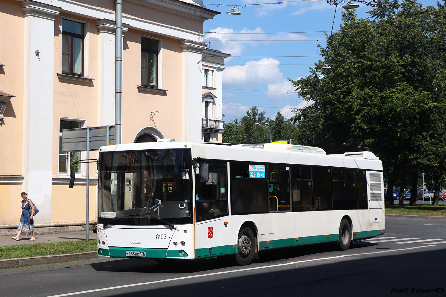 Санкт-Петербург, МАЗ-203.085 № 8103