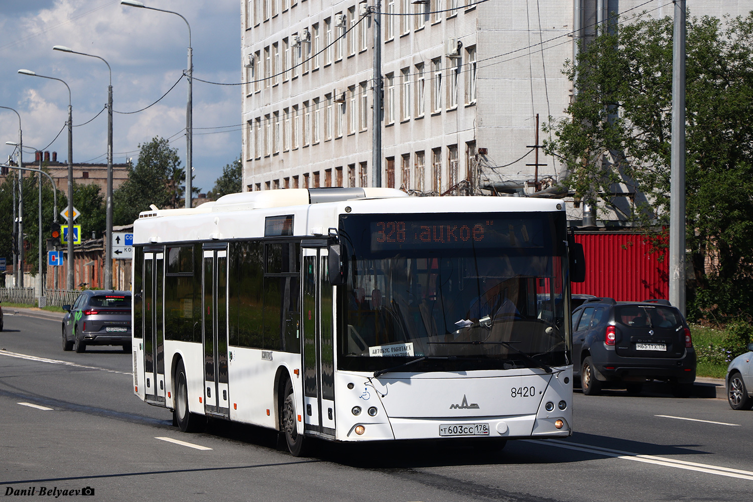 Санкт-Петербург, МАЗ-203.085 № 8420