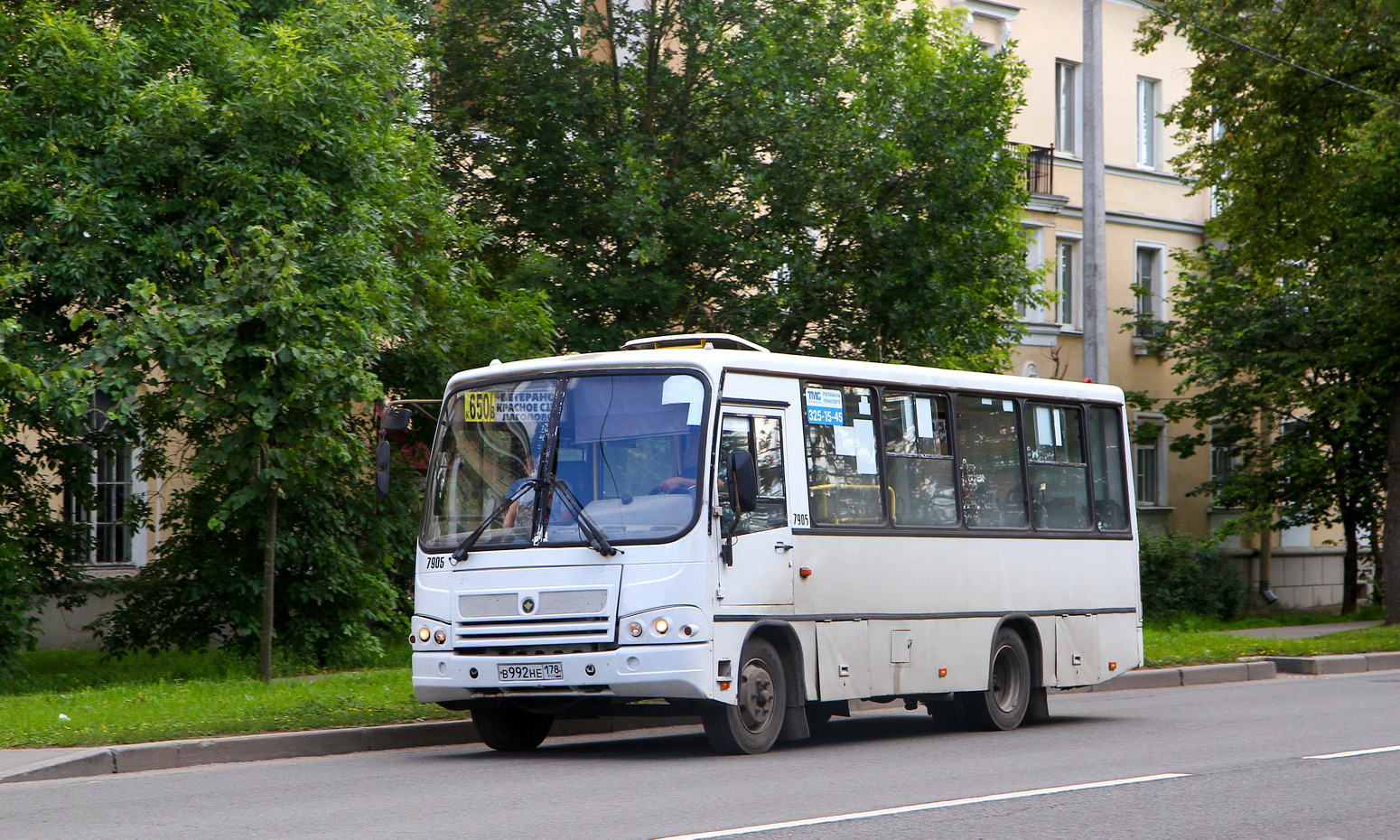 Ленинградская область, ПАЗ-320402-05 № 7905