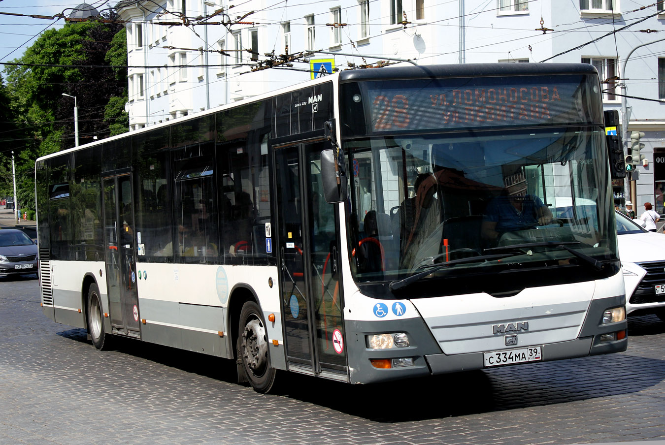 Калининградская область, MAN A21 Lion's City NL273 № С 334 МА 39