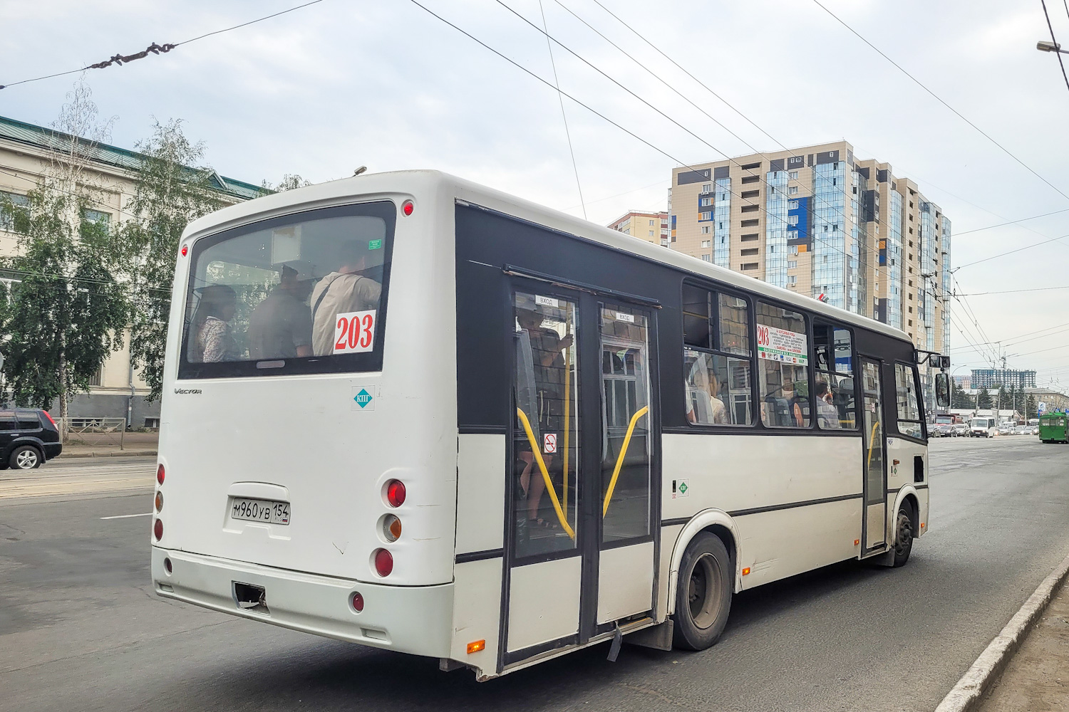 Новосибирская область, ПАЗ-320414-14 "Вектор" № М 960 УВ 154