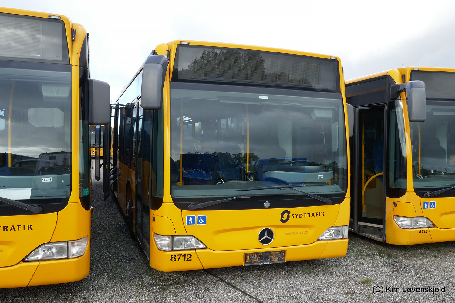 Дания, Mercedes-Benz O530LE Citaro facelift LE № 8712