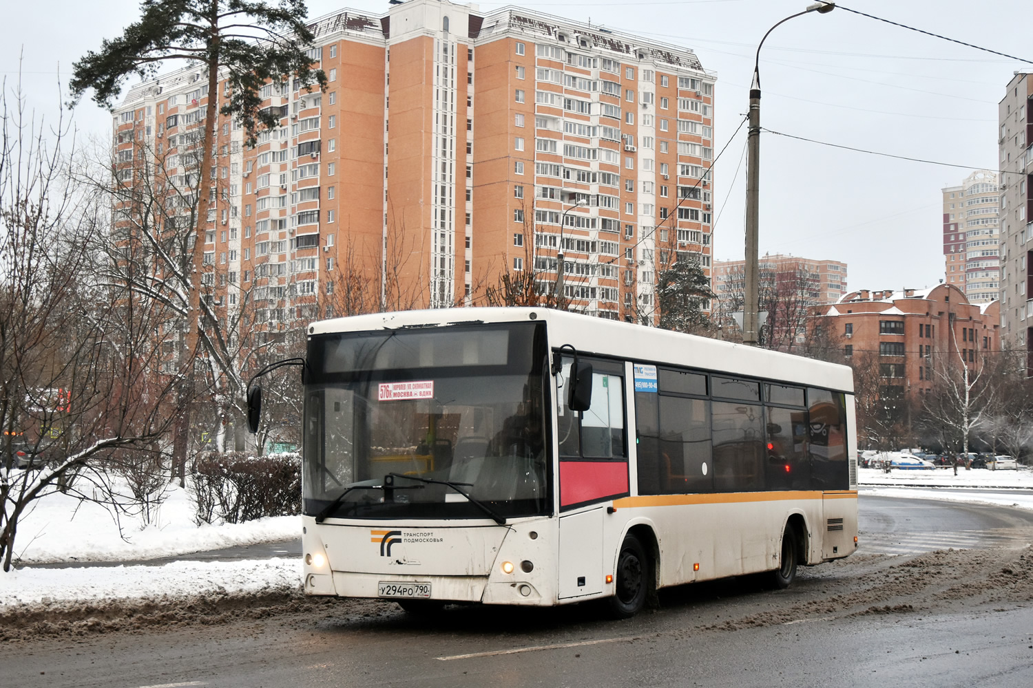 Московская область, МАЗ-206.085 № У 294 РО 790