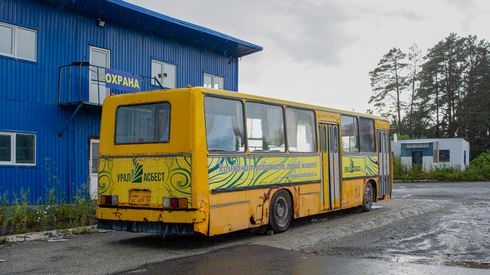 Свердловская область, Ikarus 260.43 № АС 609 66