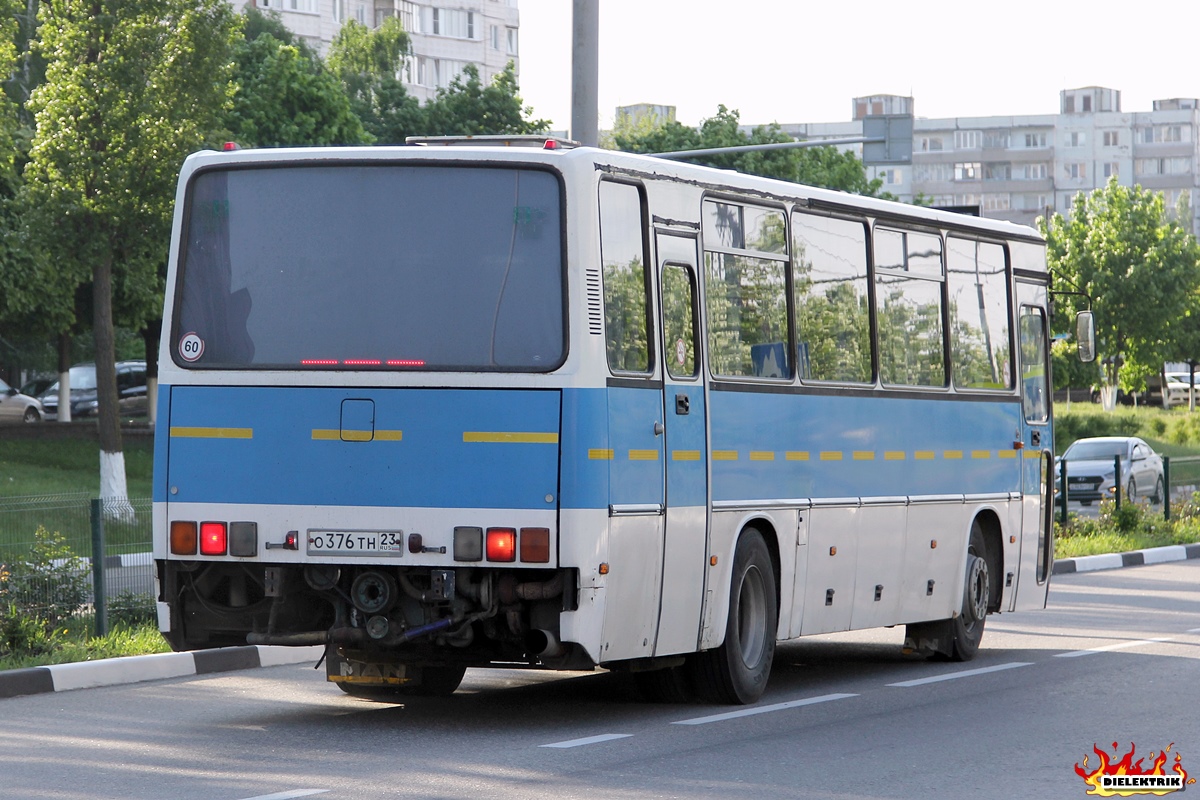 Белгородская область, Ikarus 256.21H № О 376 ТН 23