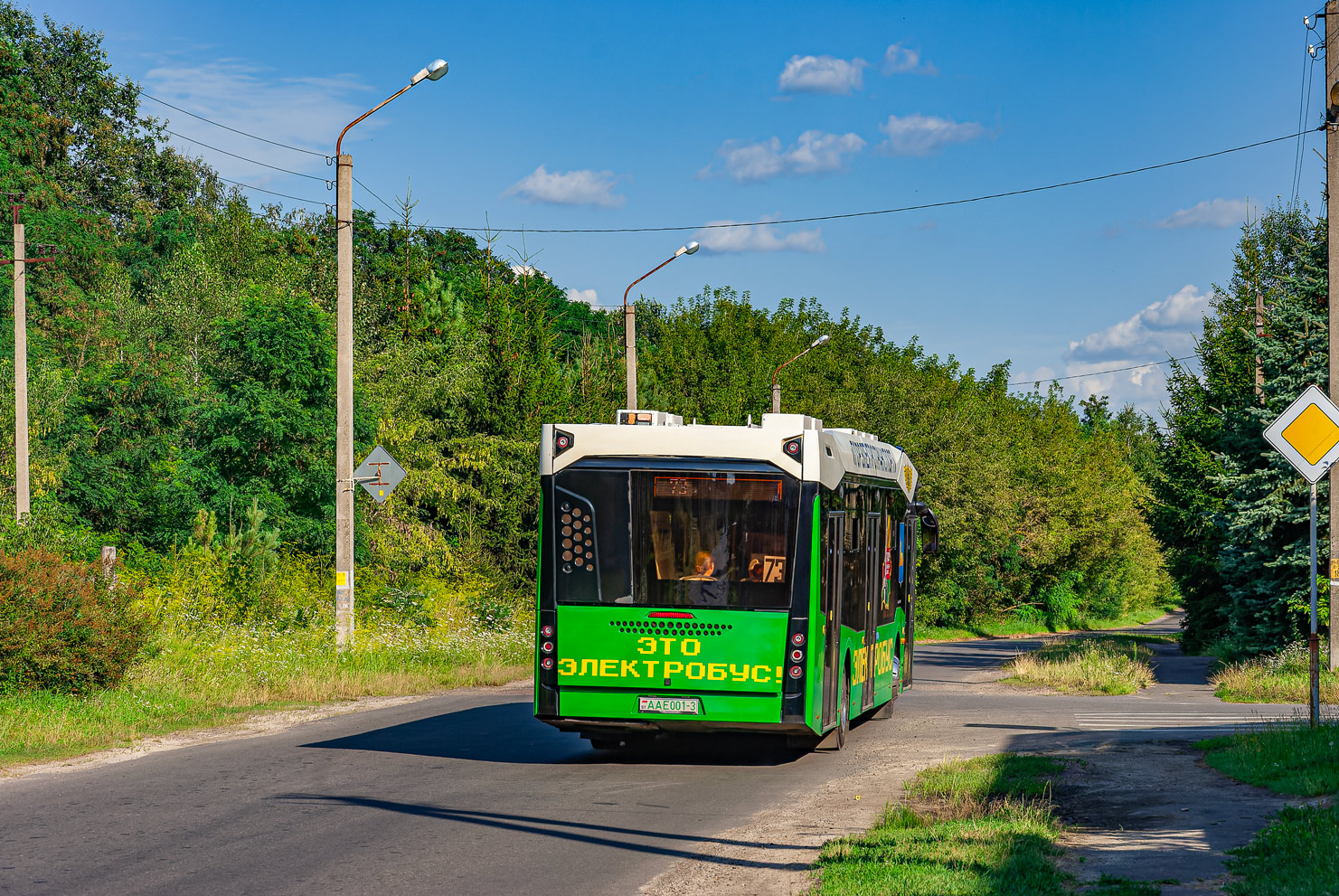 Гомельская область, МАЗ-303.E10 № 1858