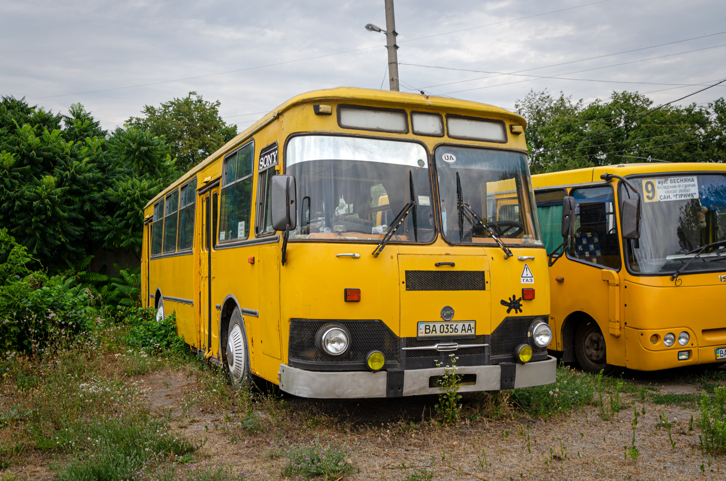 Kirovograd region, LiAZ-677M № BA 0356 AA