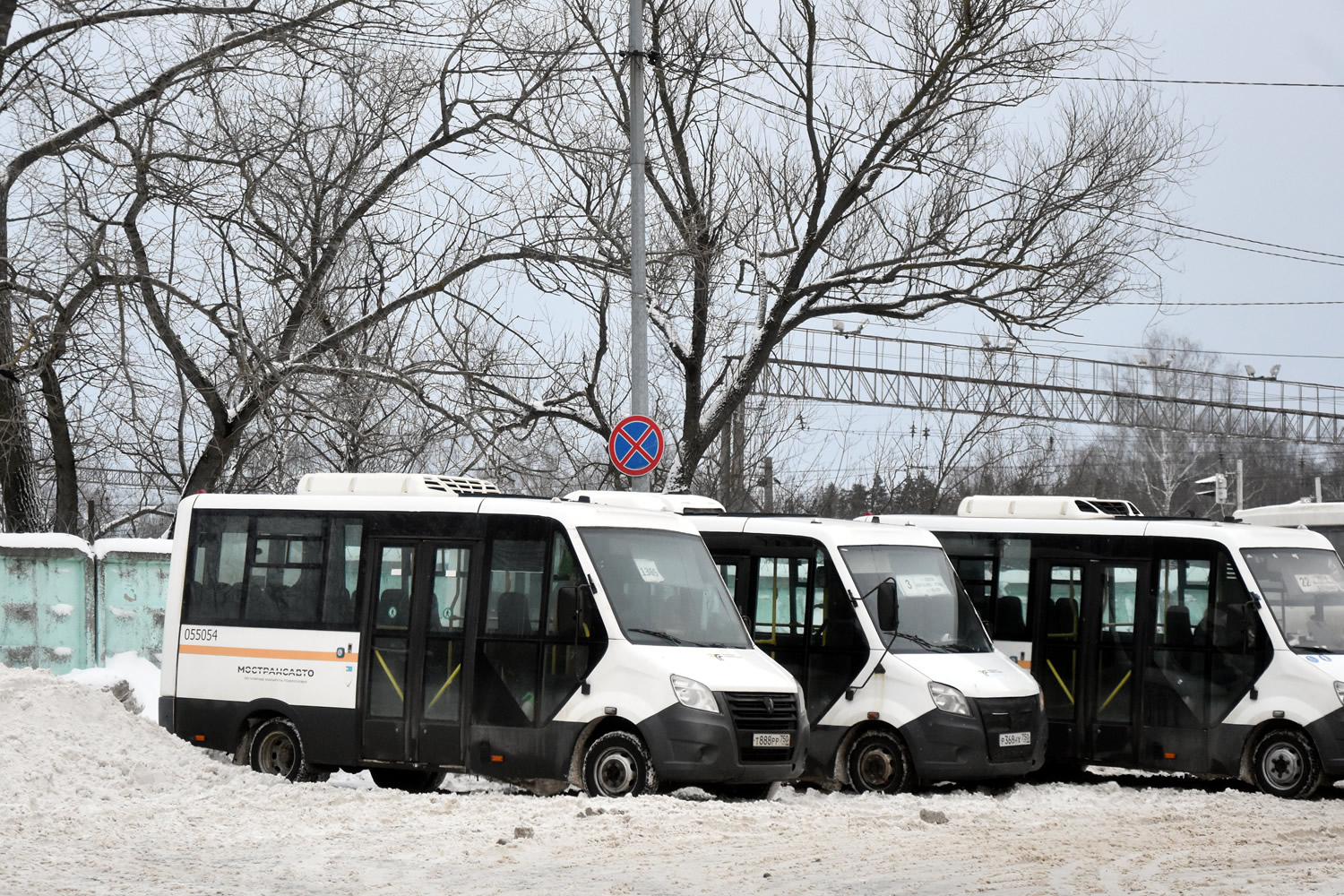 Московская область, Луидор-2250DS (ГАЗ Next) № 055054