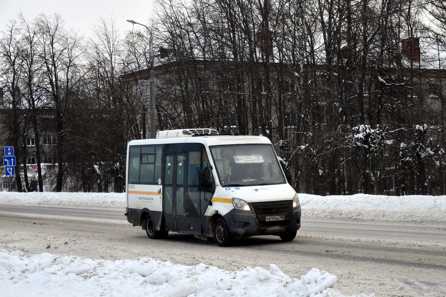 Московская область, Луидор-2250DS (ГАЗ Next) № 055045