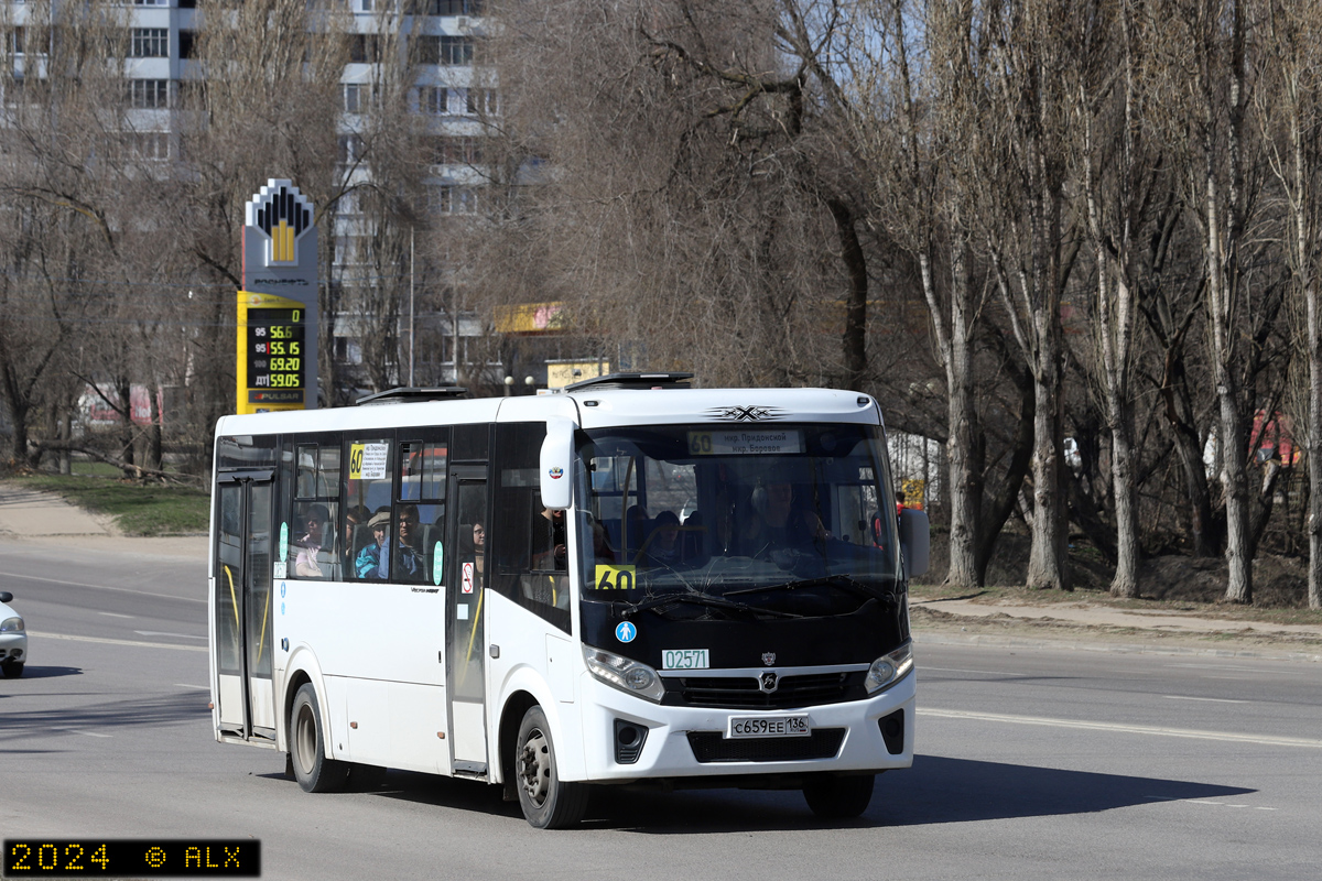 Воронежская область, ПАЗ-320415-04 "Vector Next" № 02571