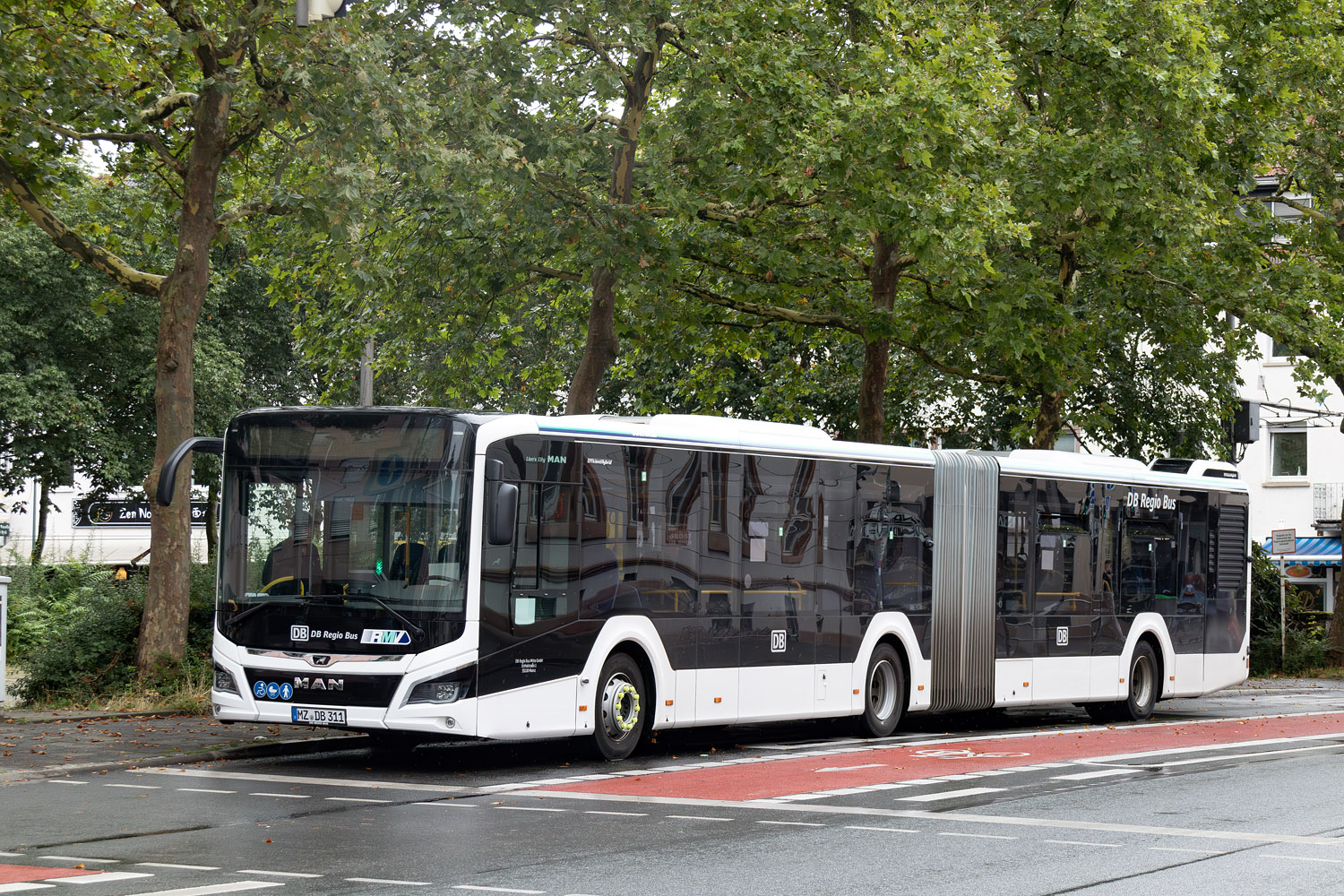 Рейнланд-Пфальц, MAN 18C Lion's City 18 NG360 EfficientHybrid № MZ-DB 311