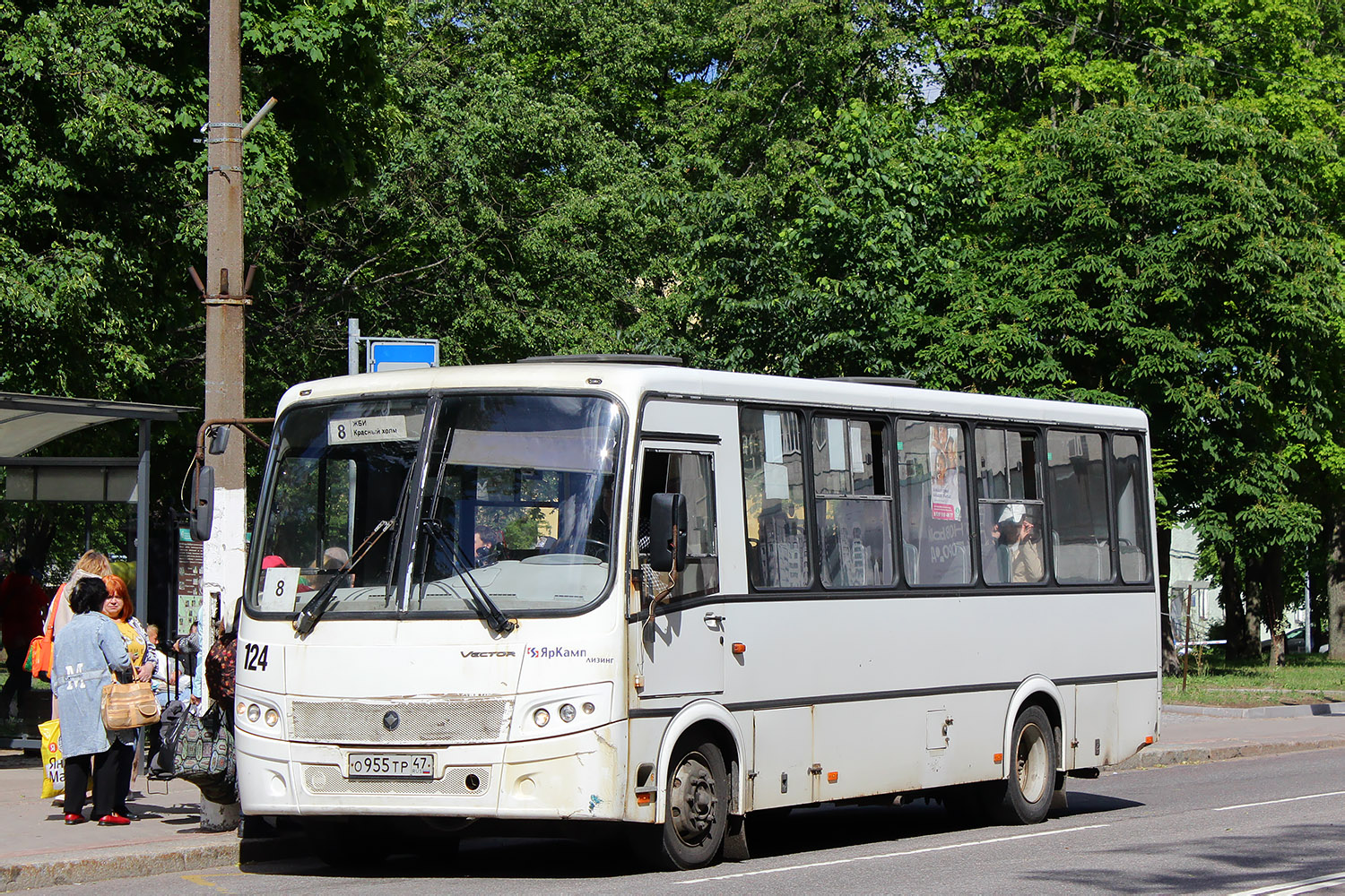 Ленинградская область, ПАЗ-320412-04 "Вектор" № 124