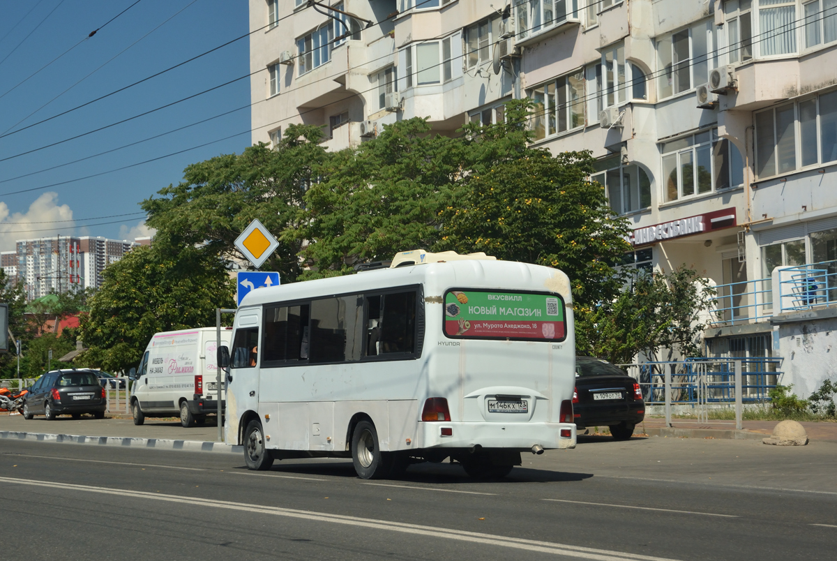 Краснодарский край, Hyundai County SWB C08 (ТагАЗ) № М 146 КХ 123