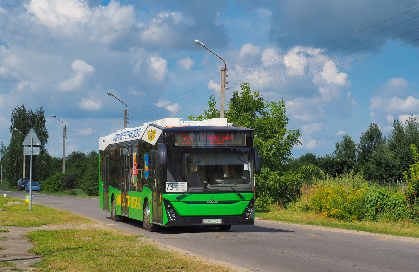 Гомельская область, МАЗ-303.E10 № 1858