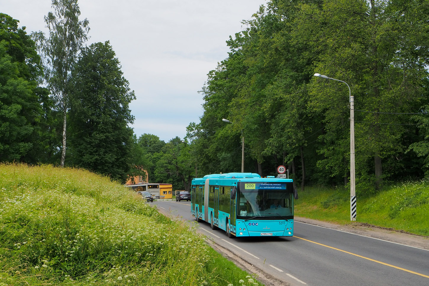 Санкт-Петербург, МАЗ-216.066 № 5293