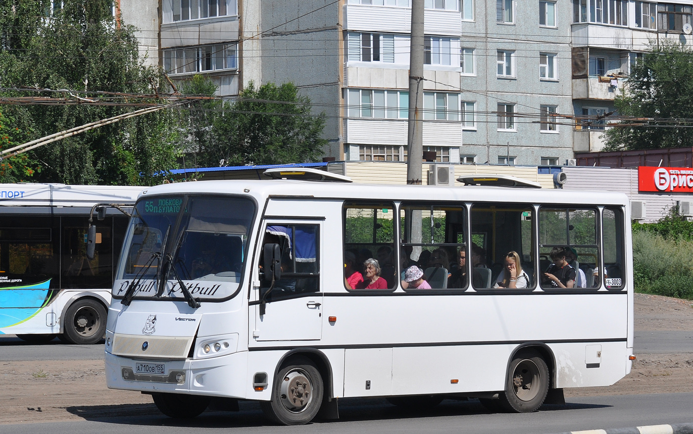 Омская область, ПАЗ-320302-08 "Вектор" № 3003