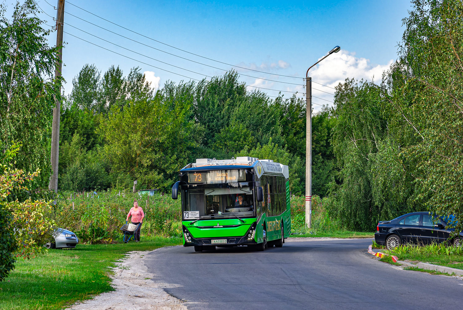 Гомельская область, МАЗ-303.E10 № 1858