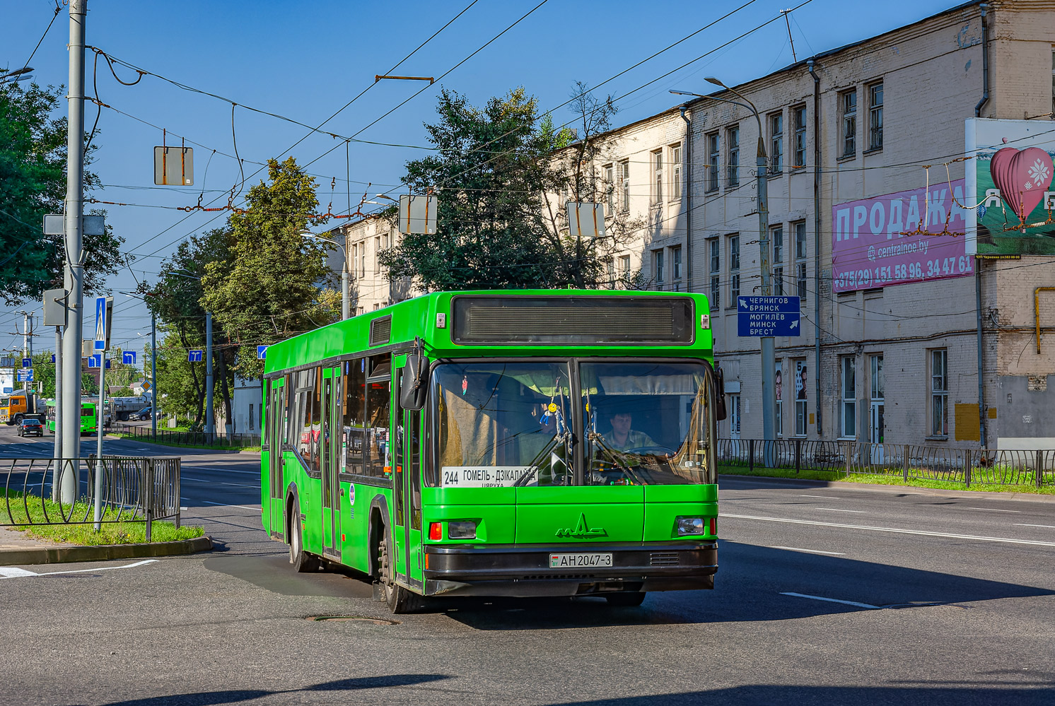 Gomel region, MAZ-103.065 Nr. 037184